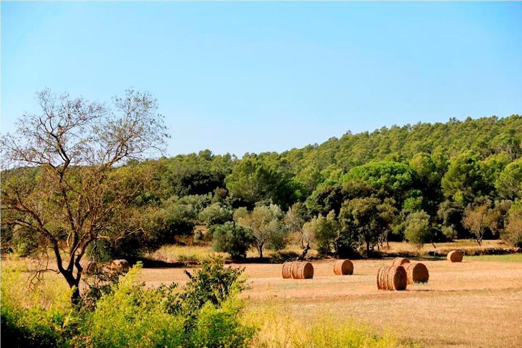 Sant Feliu de Boada Can Barrull-Costa Brava-Emporda الغرفة الصورة